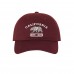 Cali Bear Established 1850 Embroidered Low Profile Baseball Cap  Many Styles  eb-59554467